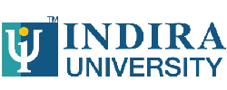 INIDIRA University